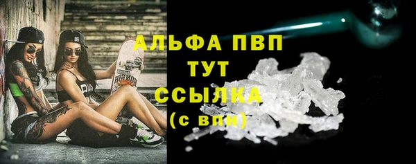 скорость Новозыбков