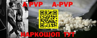 СК Новодвинск