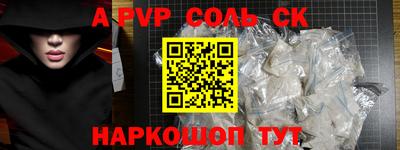 СК Новодвинск