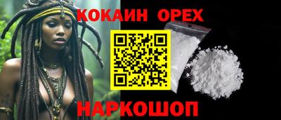 СК Новодвинск