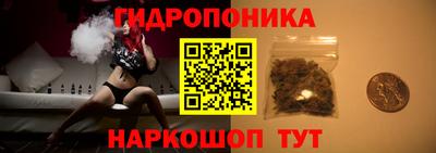 ALPHA-PVP Новозыбков