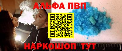 СК Новодвинск