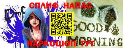 СК Новодвинск