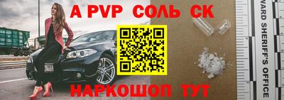 СК Новодвинск