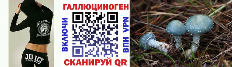 наркошоп  Тавда  Галлюциногенные грибы прущие грибы 