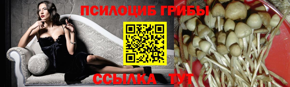Псилоцибиновые грибы Cubensis  Вход с VPN  где купить наркоту  Тавда 