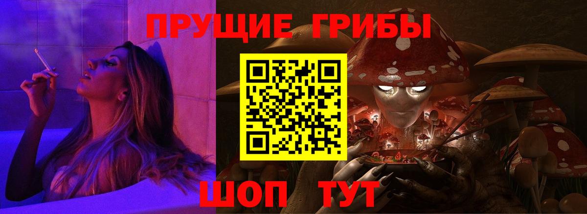 Псилоцибиновые грибы Psilocybe Тавда