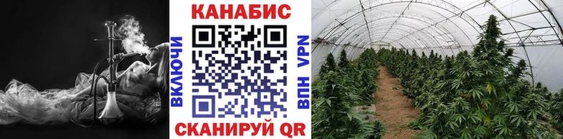 Бошки Шишки семена  наркотики  Тавда 